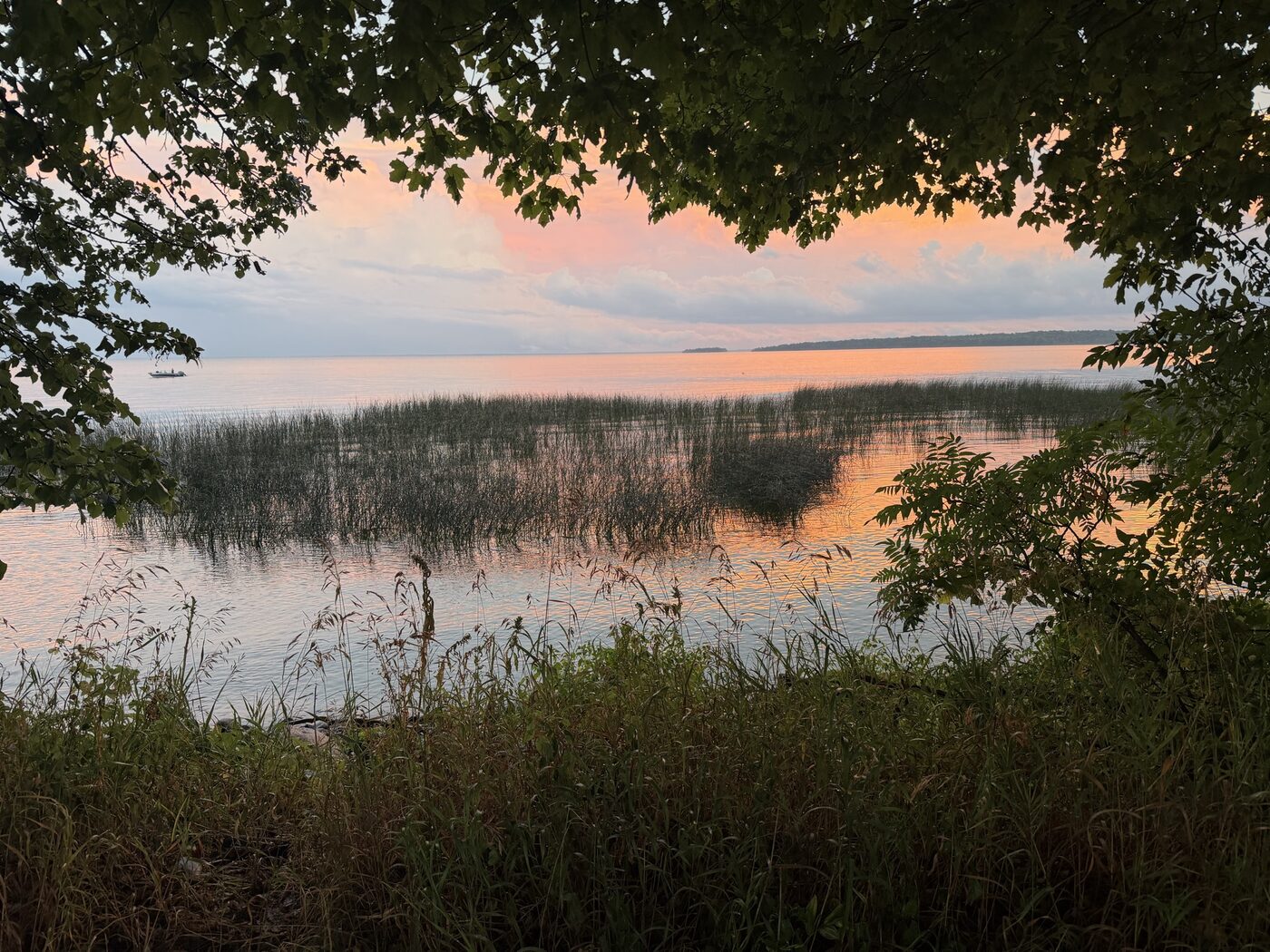 Mille Lacs Lake at nightfall framed by maple leaves