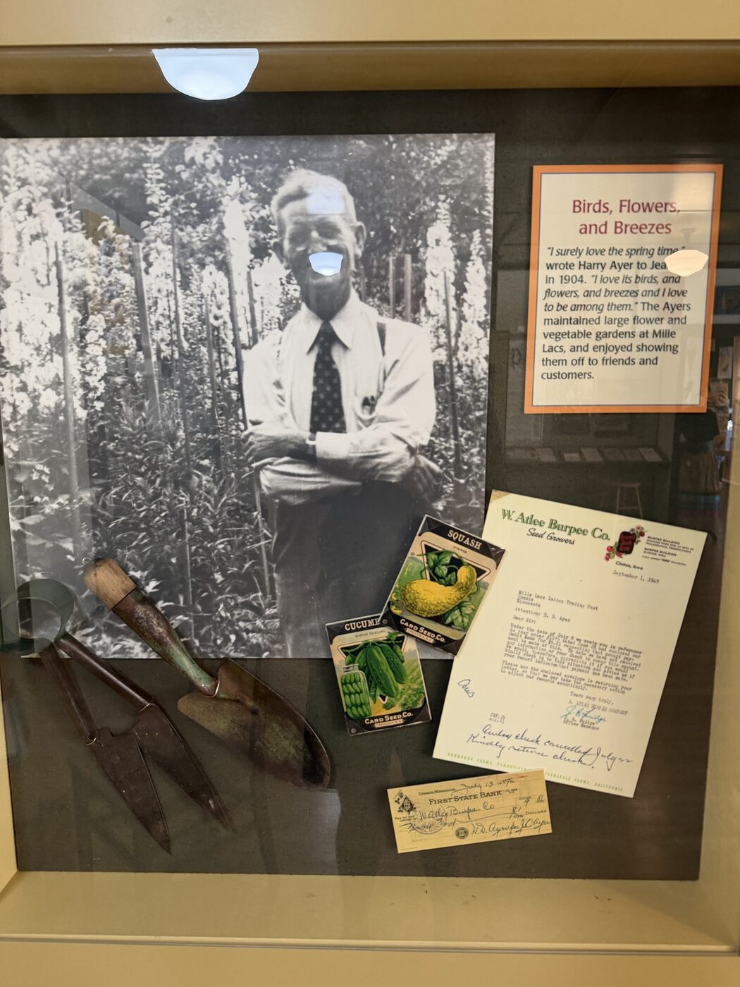 Display case with Harry Ayer among his flower gardens